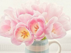 Ảnh bìa bài viết 507959