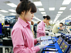 Ảnh bìa bài viết 508330