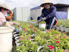 Ảnh bìa bài viết 508405