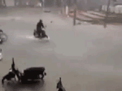 Ảnh bìa bài viết 508482