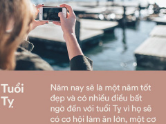 Ảnh bìa bài viết 508719