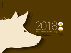 Ảnh bìa bài viết 508666