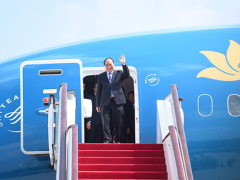 Ảnh bìa bài viết 496543