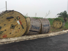 Ảnh bìa bài viết 496869