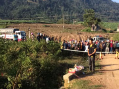 Ảnh bìa bài viết 496753