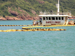 Ảnh bìa bài viết 496863