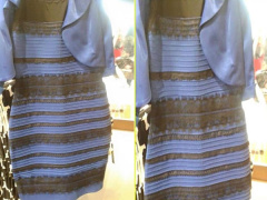 Ảnh bìa bài viết 496959