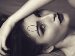 Ảnh bìa bài viết 496997
