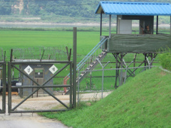 Ảnh bìa bài viết 496892