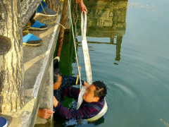 Ảnh bìa bài viết 497316