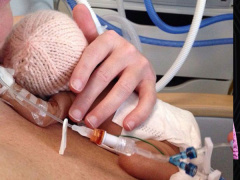 Ảnh bìa bài viết 497293