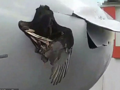 Ảnh bìa bài viết 497689