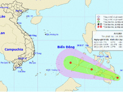 Ảnh bìa bài viết 497723