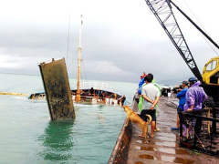 Ảnh bìa bài viết 497739