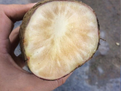 Ảnh bìa bài viết 497876