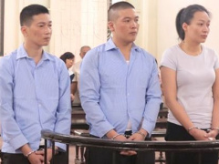 Ảnh bìa bài viết 498029