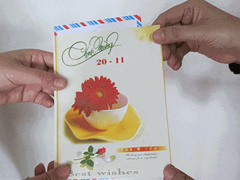 Ảnh bìa bài viết 498117