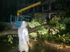 Ảnh bìa bài viết 498226