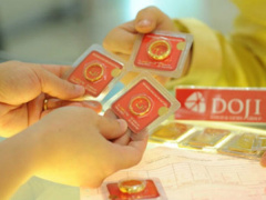 Ảnh bìa bài viết 498255