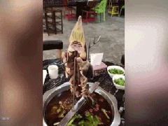 Ảnh bìa bài viết 498509