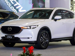 Ảnh bìa bài viết 498640