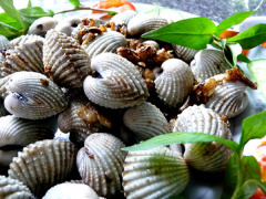 Ảnh bìa bài viết 498477