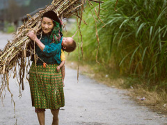 Ảnh bìa bài viết 498827