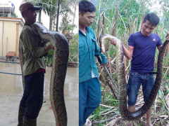 Ảnh bìa bài viết 498879