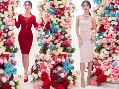 Ảnh bìa bài viết 498824