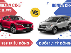 Ảnh bìa bài viết 499130