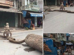 Ảnh bìa bài viết 491617