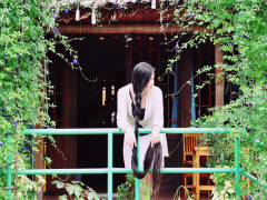 Post cover 499526