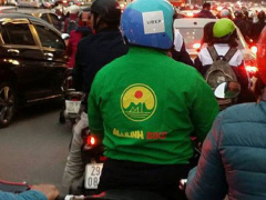 Ảnh bìa bài viết 499390
