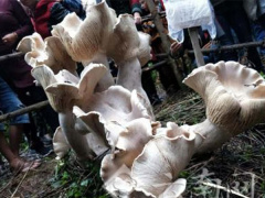 Ảnh bìa bài viết 491732