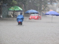 Ảnh bìa bài viết 491895