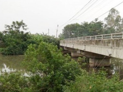 Ảnh bìa bài viết 491882
