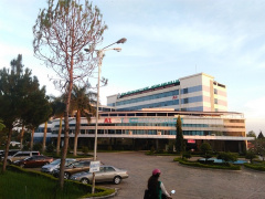 Ảnh bìa bài viết 491894