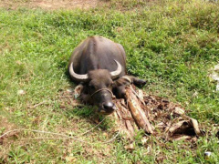 Ảnh bìa bài viết 492153