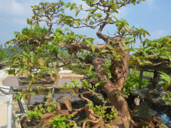Ảnh bìa bài viết 491999