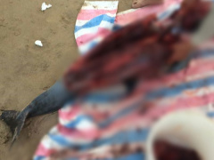 Ảnh bìa bài viết 492136