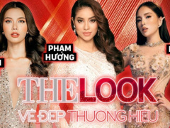 Ảnh bìa bài viết 491950