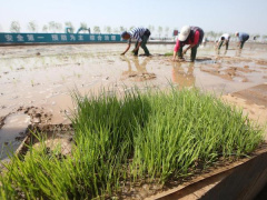 Ảnh bìa bài viết 492090