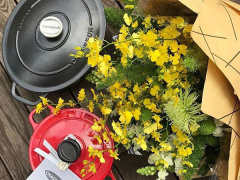 Ảnh bìa bài viết 492330