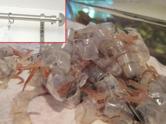 Ảnh bìa bài viết 492278