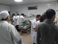Ảnh bìa bài viết 500244