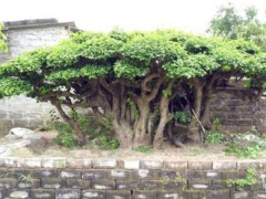 Ảnh bìa bài viết 492567