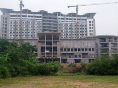 Ảnh bìa bài viết 500475