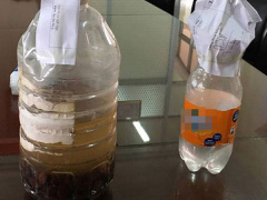 Ảnh bìa bài viết 493281