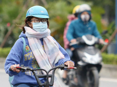 Ảnh bìa bài viết 501253