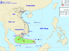 Ảnh bìa bài viết 493362
